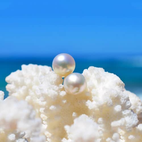 Post earrings Australian white pearl