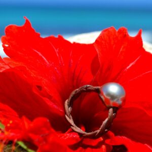 Bague Tressée 1 Perle de Tahiti 11,5mm, seconde vue