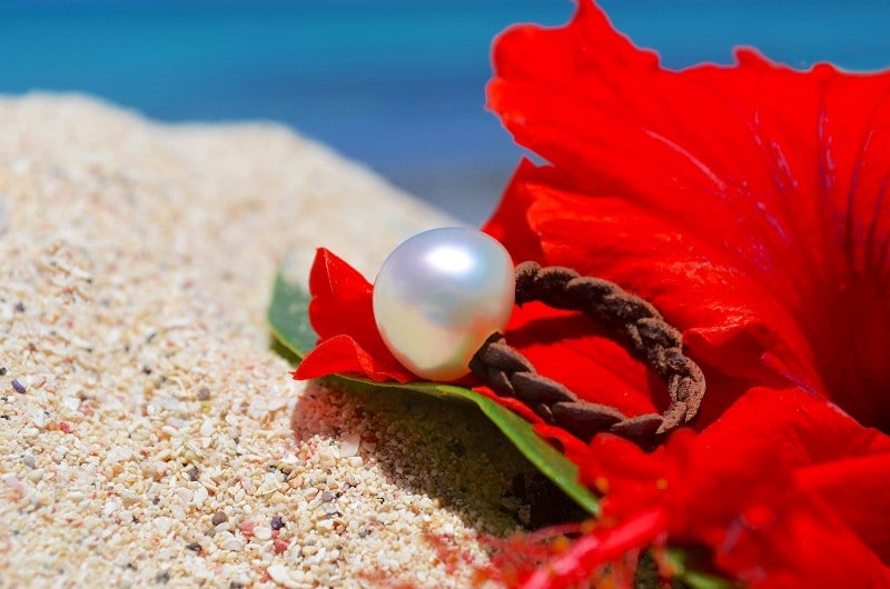 produit: Braided Ring 1 Australian pearl (15mm)