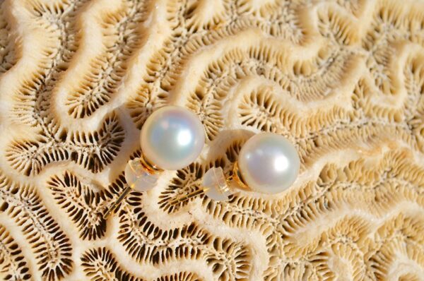 clous-oreilles-perles-australie-blanche-02.jpg | Kalinas Perles