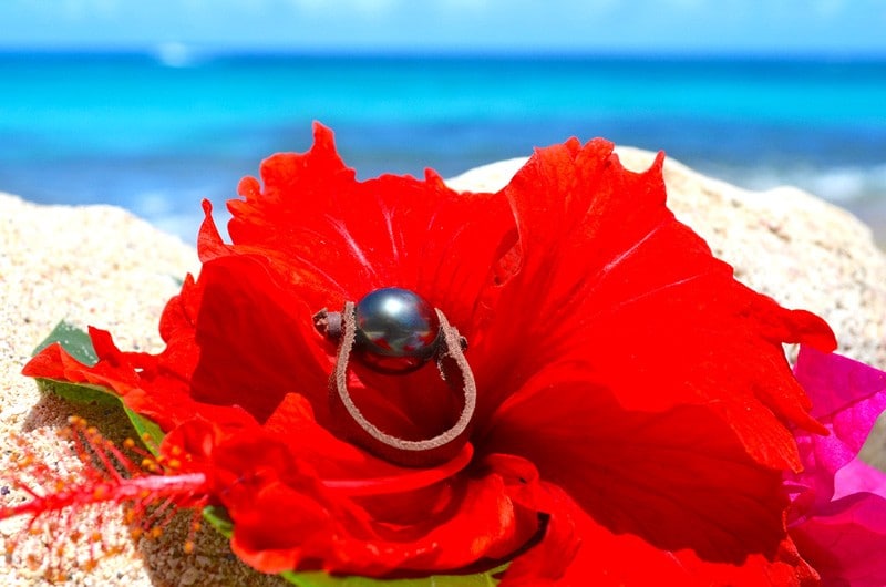 produit: Ring 1 Tahitian Black Pearl (10,5mm)