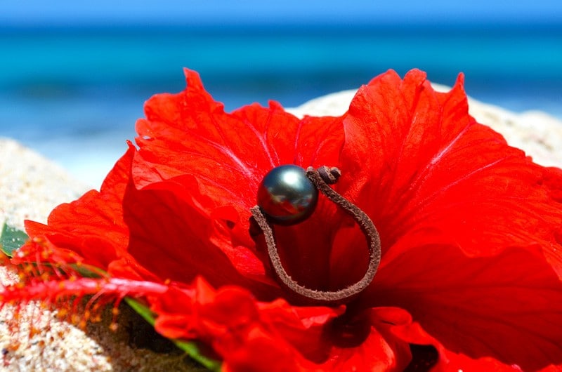 produit: Ring 1 Tahitian pearl (11,5mm)