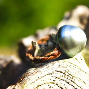 Bague Tressée 1 Perle de Tahiti 14,5mm, seconde vue
