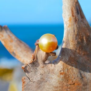 14.5 mm Golden Australian Pearl Ring, main view