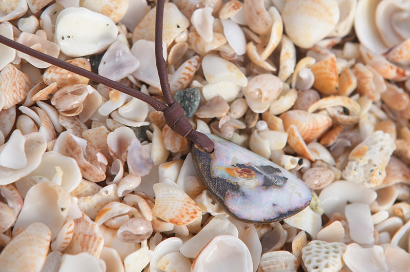 Brown leather necklace with an Australian opal pendant displayed on a bed of seashells