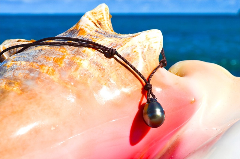 Détail des nœuds coulissants et de la perle de Tahiti de 12,5 mm du collier pendentif présenté sur un coquillage
