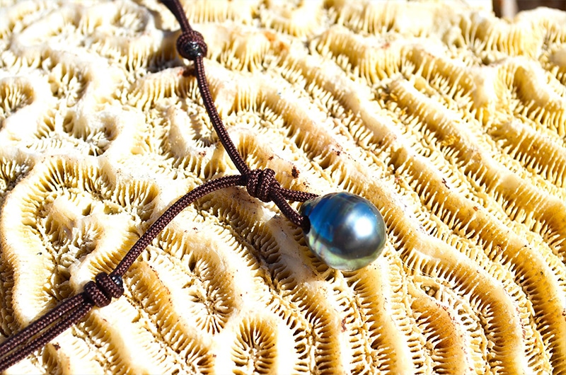 Gros plan sur la perle de culture de Tahiti cerclée de 10 mm et les nœuds du collier pendentif présentés sur du corail