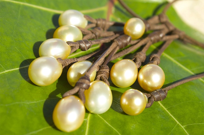 Close-up of the 11 golden South Sea cultured pearls and brown leather on the cluster necklace displayed on green leaves