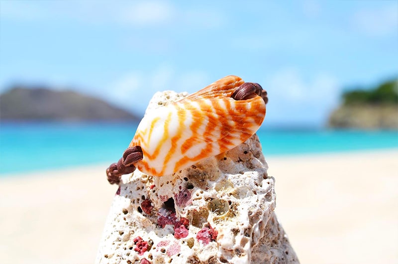 Leather bracelet with an orange shell and Tahitian pearl displayed on a rock by the sea