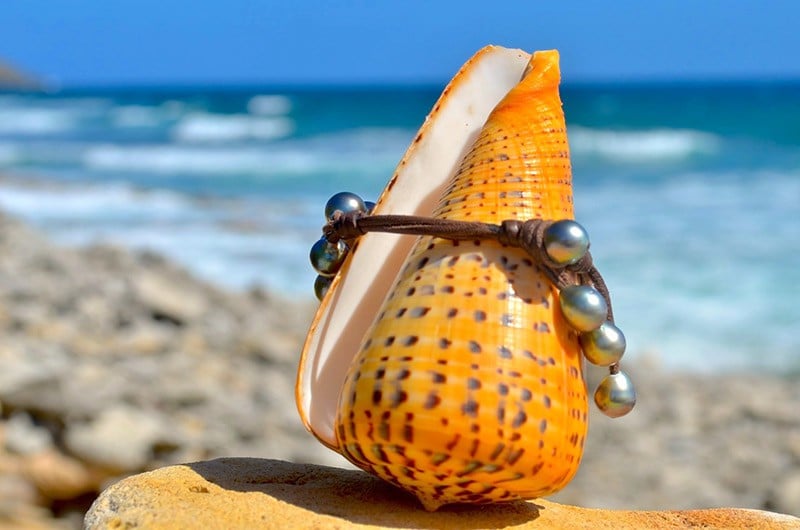 Détail des perles semi-baroques de Tahiti et du montage à trois rangs présenté autour d’un coquillage face à la mer