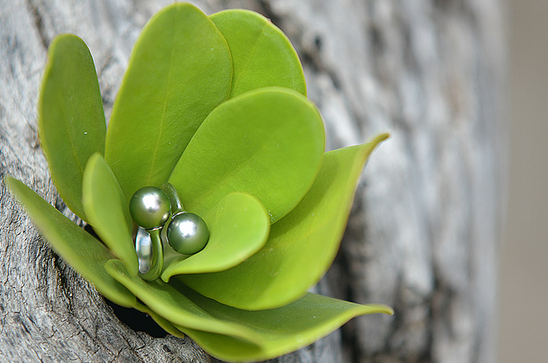 Sterling silver Toi et Moi ring with two Tahitian pearls displayed on a green leaf