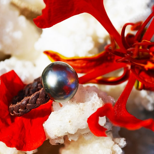 Braided brown leather ring with one Tahitian cultured pearl, displayed among red flowers