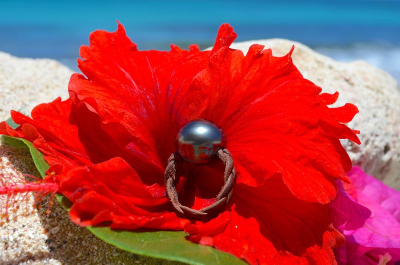 Bague en cuir tressé avec une perle de Tahiti de 15 mm présentée sur une fleur rouge face à la mer