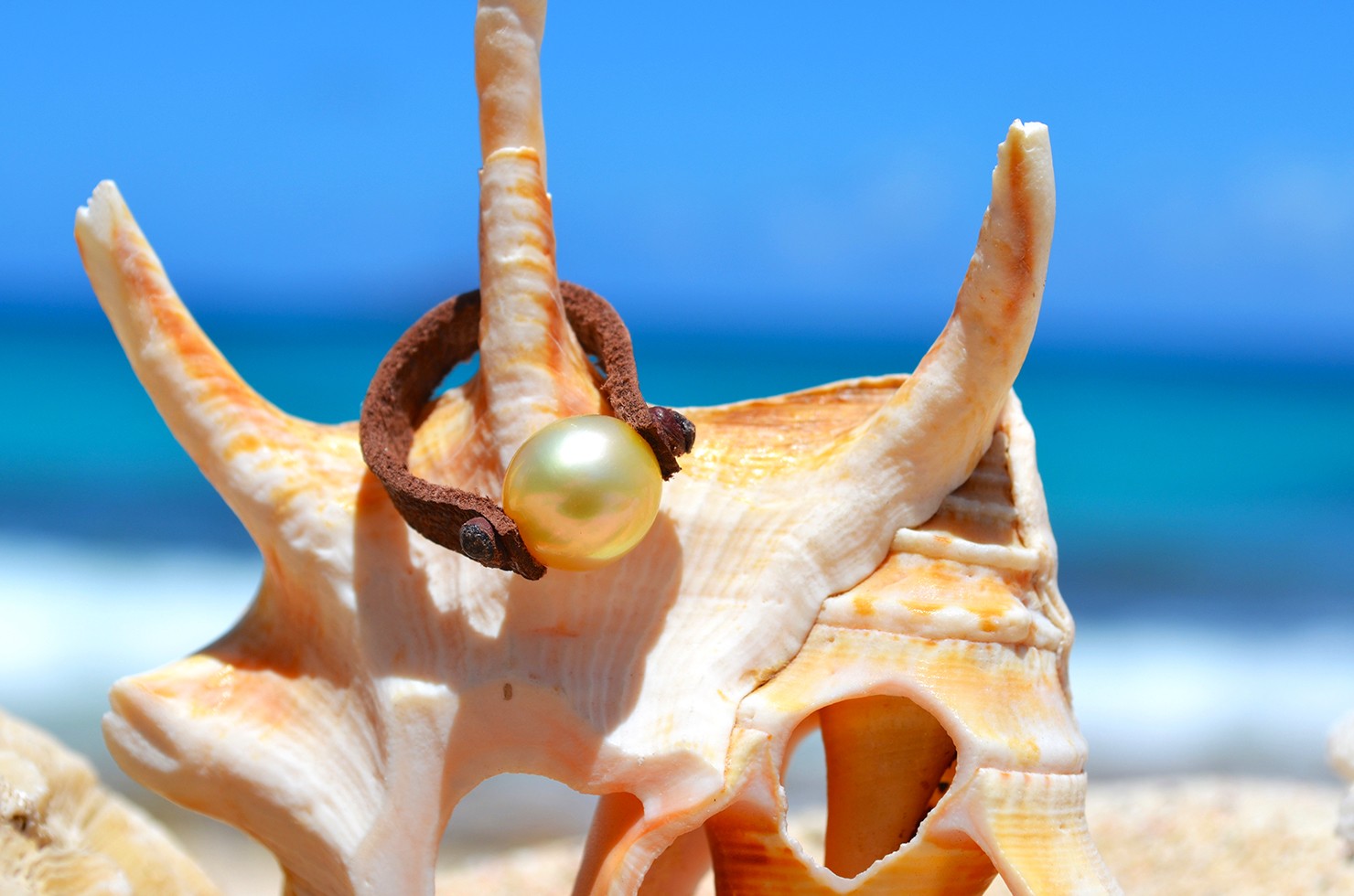 Leather ring with a 9 mm golden Australian South Sea pearl displayed on a seashell by the sea
