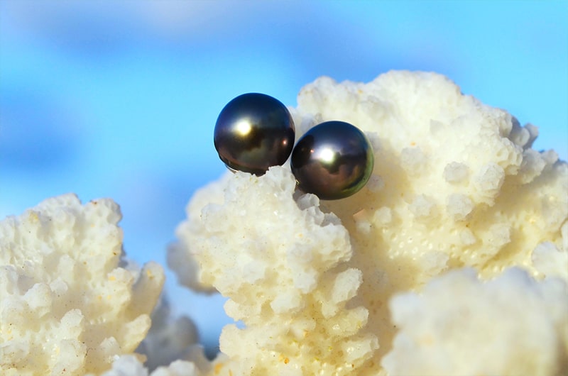 Sterling silver stud earrings with 8 mm Tahitian pearls displayed on white coral