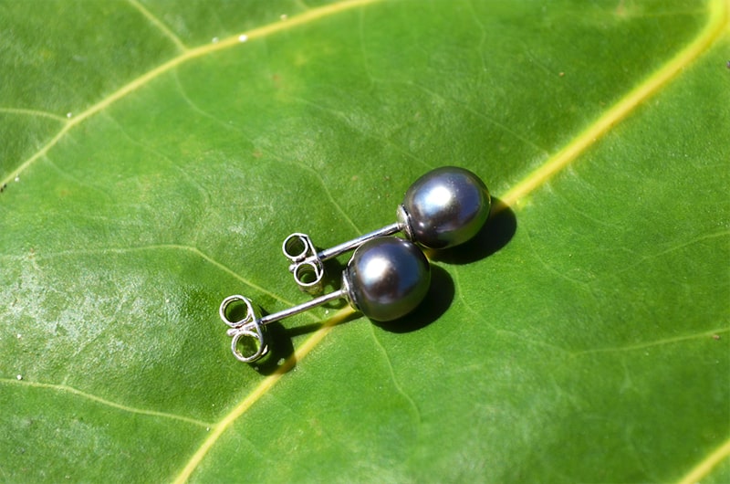 Sterling silver stud earrings with 8 mm Tahitian pearls displayed on a green leaf