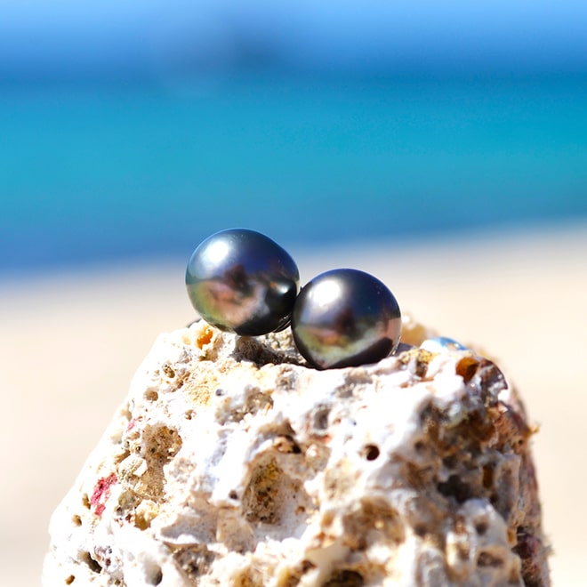 Sterling silver stud earrings with 8 mm Tahitian pearls displayed on coral by the sea