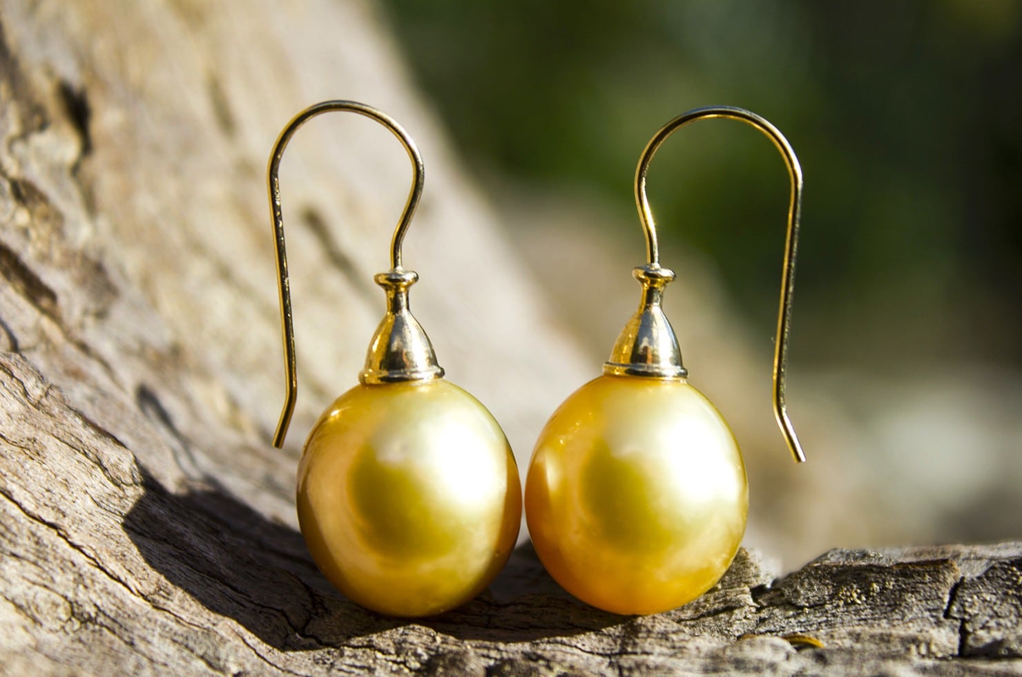Boucles d’oreilles avec perles dorées d’Australie de 12 mm présentées sur du bois sombre