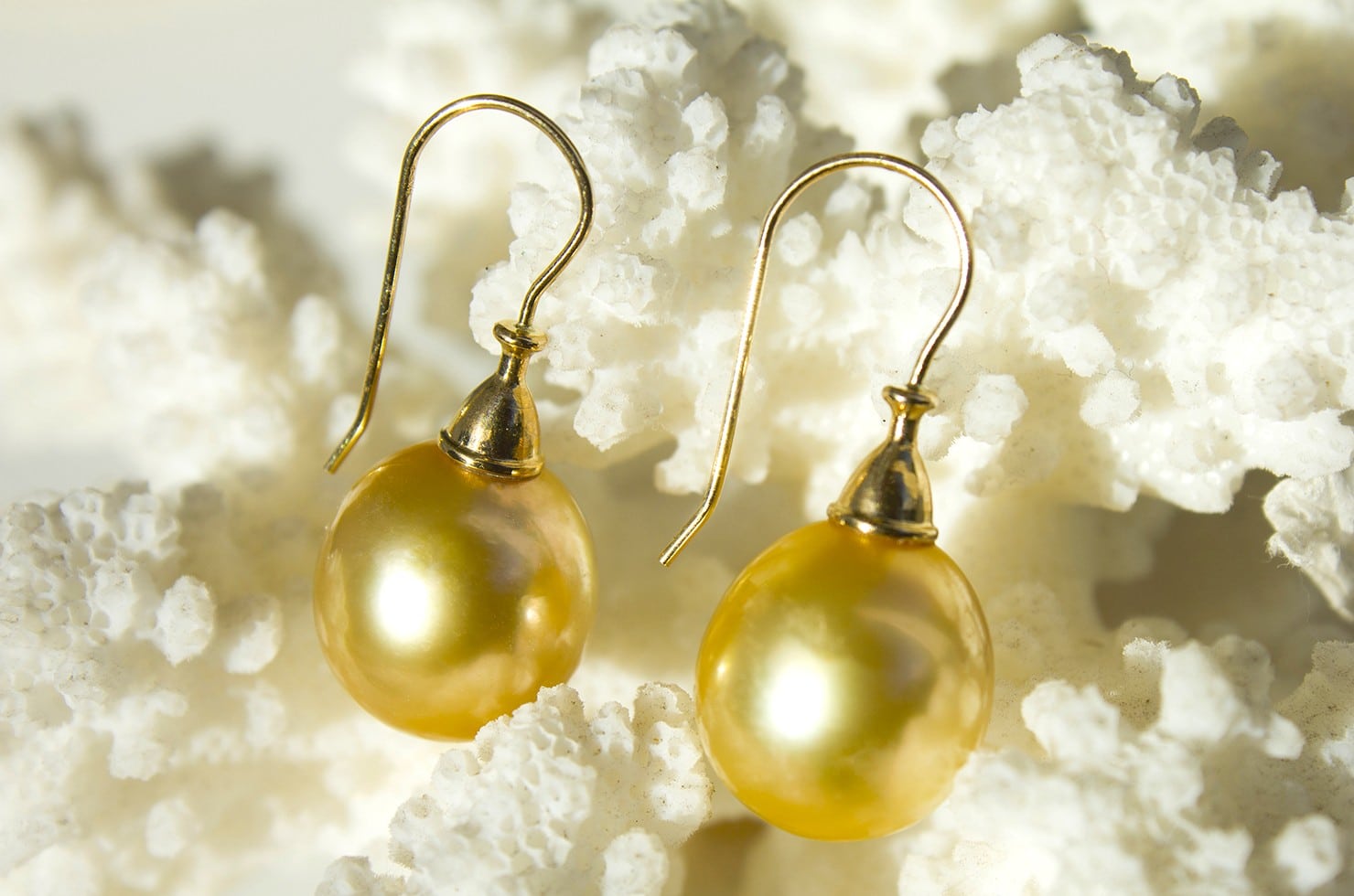 Boucles d’oreilles avec perles dorées d’Australie de 12 mm présentées sur du corail blanc
