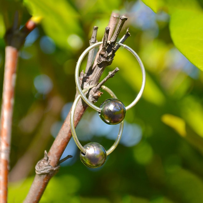 Créoles avec perles rondes de Tahiti suspendues à une branche