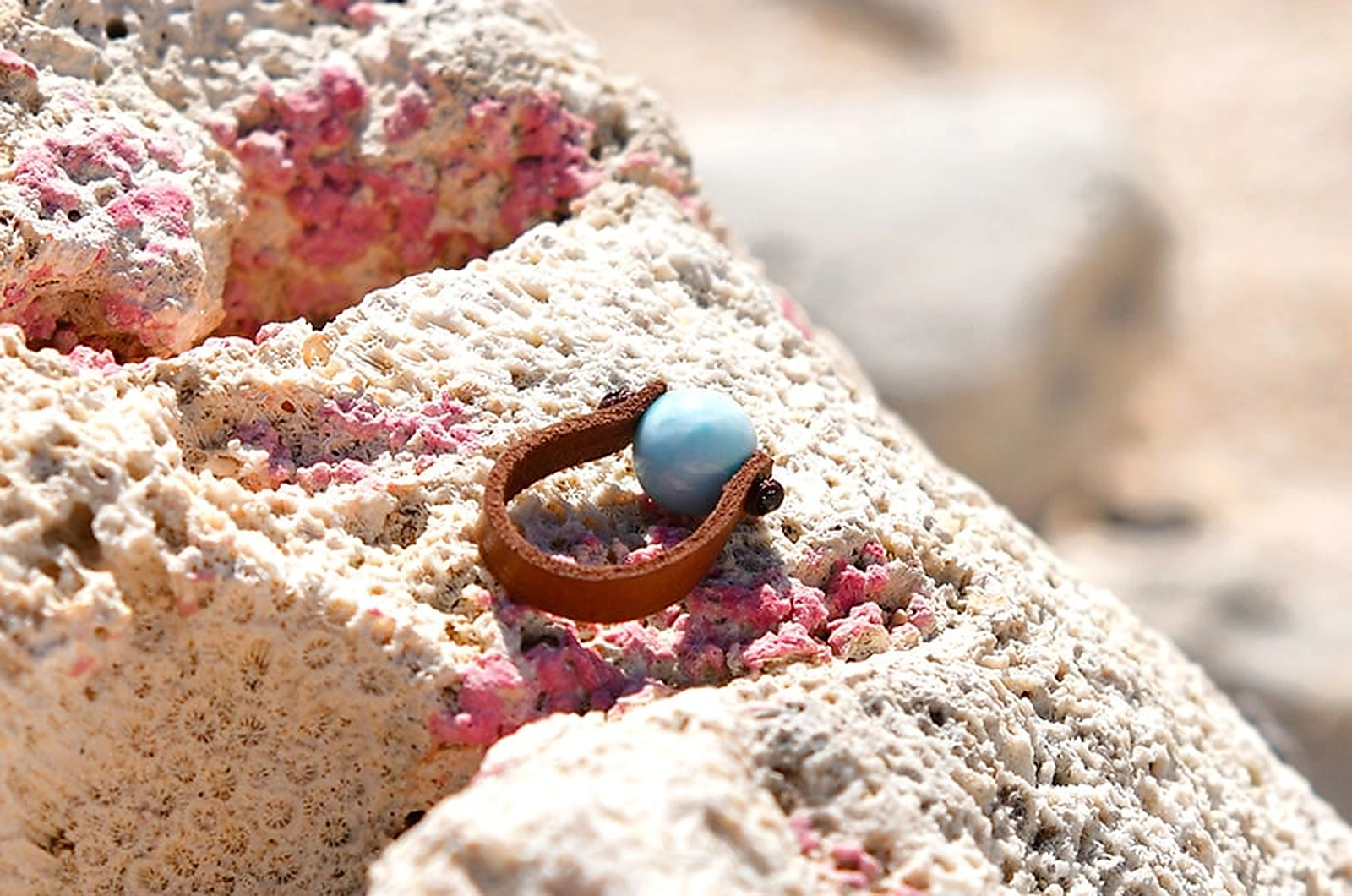 Brown leather ring with a round 10 mm Larimar displayed on coral