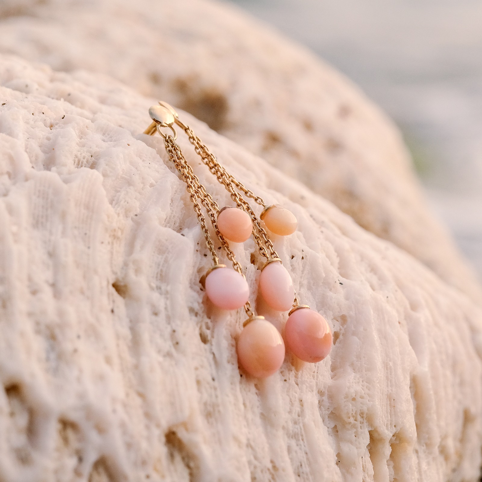 Boucles pendantes en or et 6 perles de lambis, paire posée sur du corail, vue rapprochée.