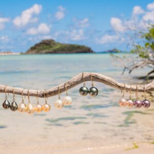 Boucles d’oreilles pendantes fines en or et perles au choix, plusieurs couleurs de perles présentées sur une branche