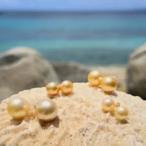 Clous d’oreilles et perles dorées des mers du Sud, sur fond naturel