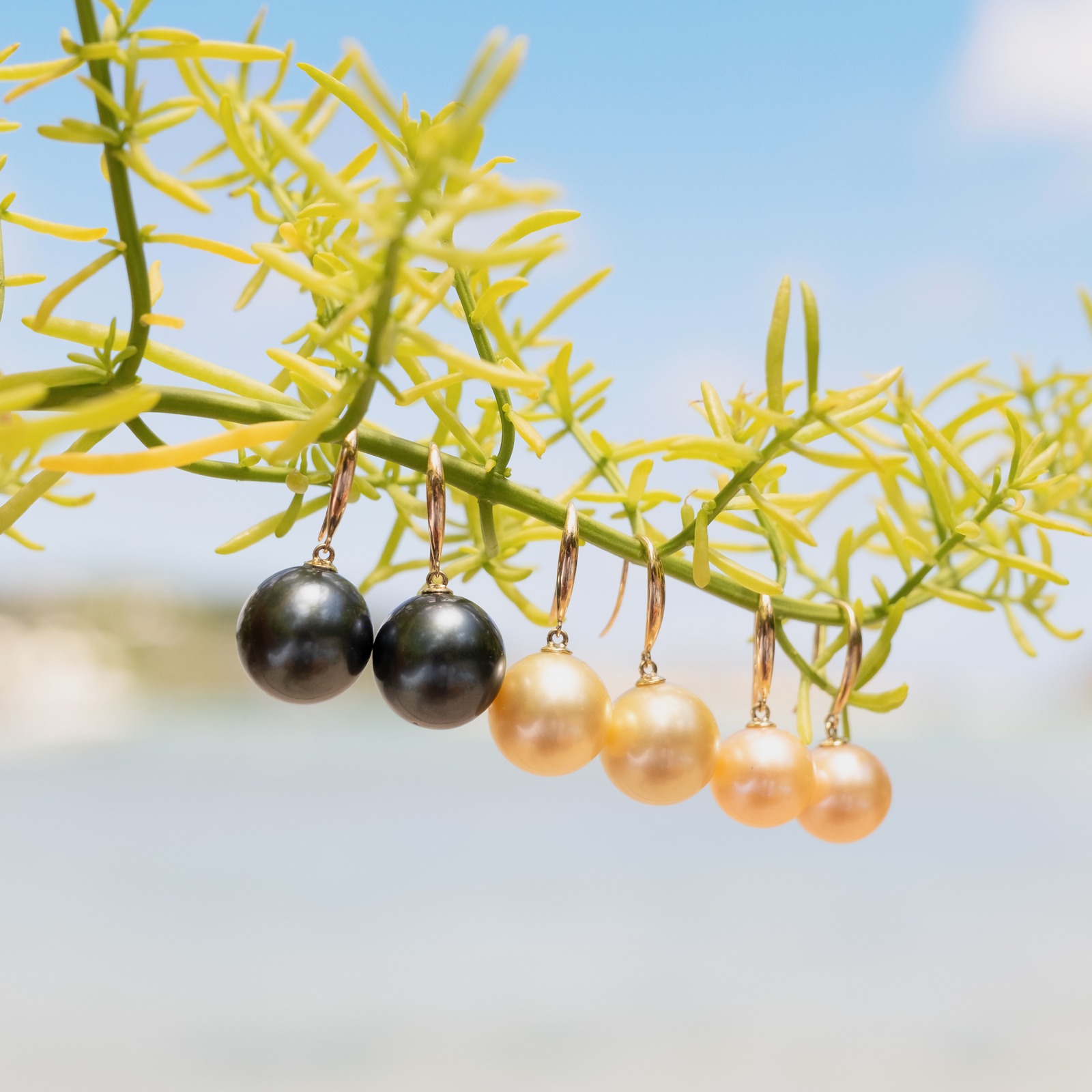 Classic gold earrings with a choice of large pearls, jewelry on a natural background