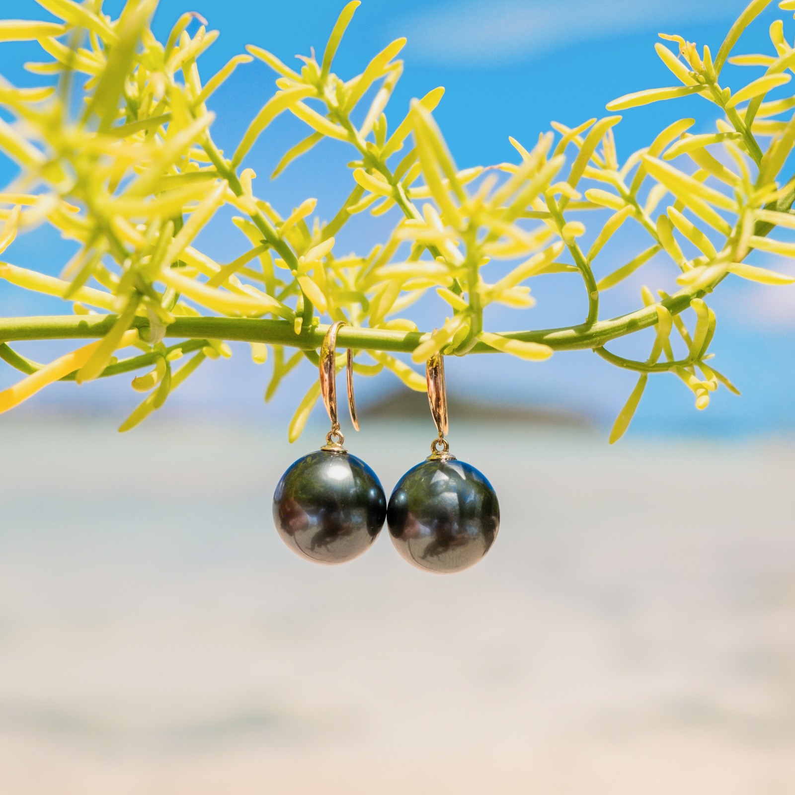 Classic gold earrings with a choice of large pearls, jewelry on a natural background