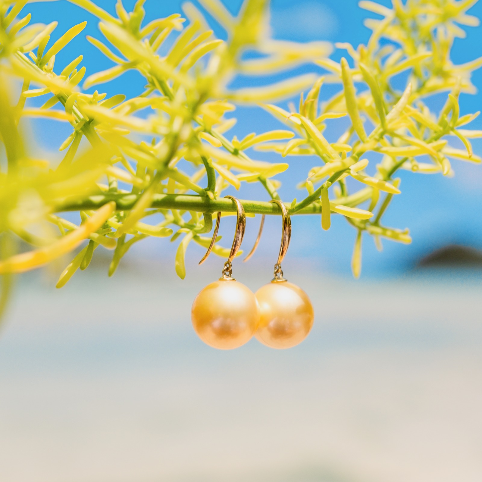 Classic gold earrings with a choice of large pearls, jewelry on a natural background